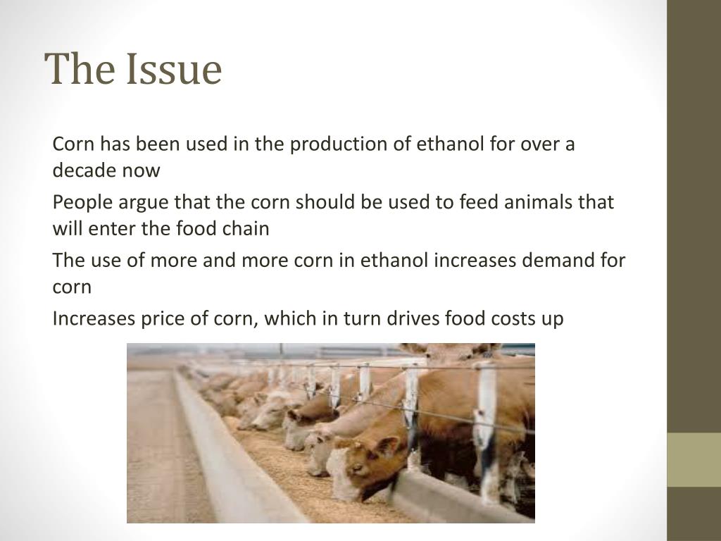 PPT Corn Use In Ethanol PowerPoint Presentation, free download ID