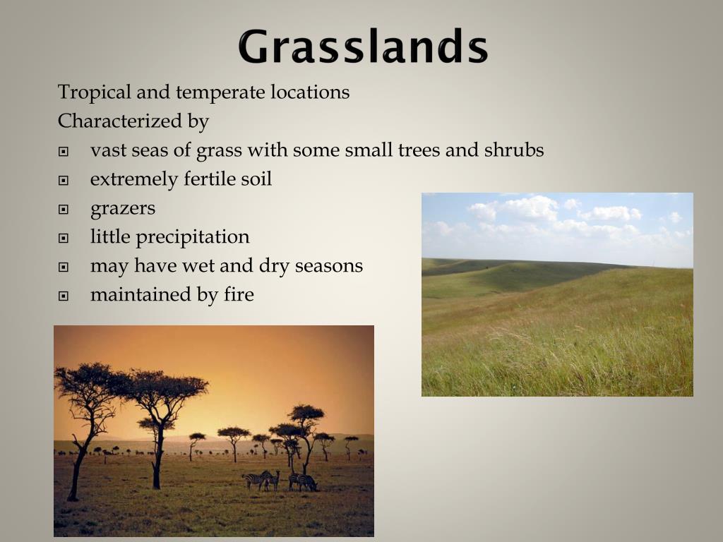 PPT Chapter 6 Terrestrial biomes PowerPoint Presentation, free