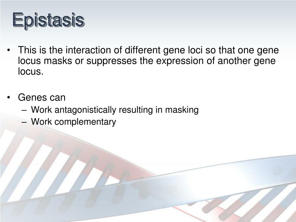 PPT Learning question How can diagrams be used to solve