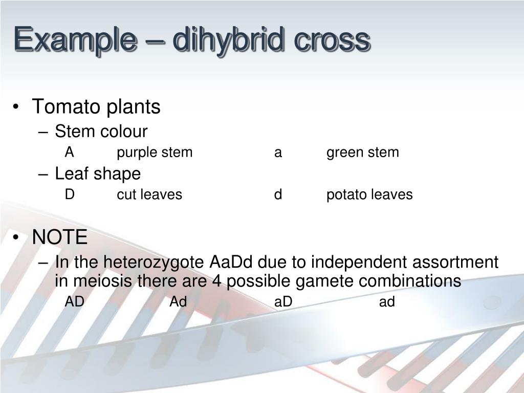 PPT Learning question How can diagrams be used to solve