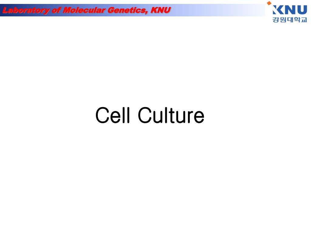 PPT Cell Culture PowerPoint Presentation, free download ID2198729