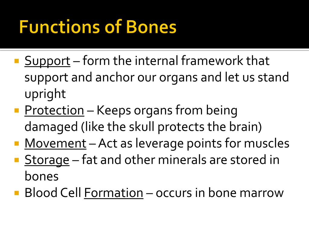 PPT Functions of Bones PowerPoint Presentation, free download ID