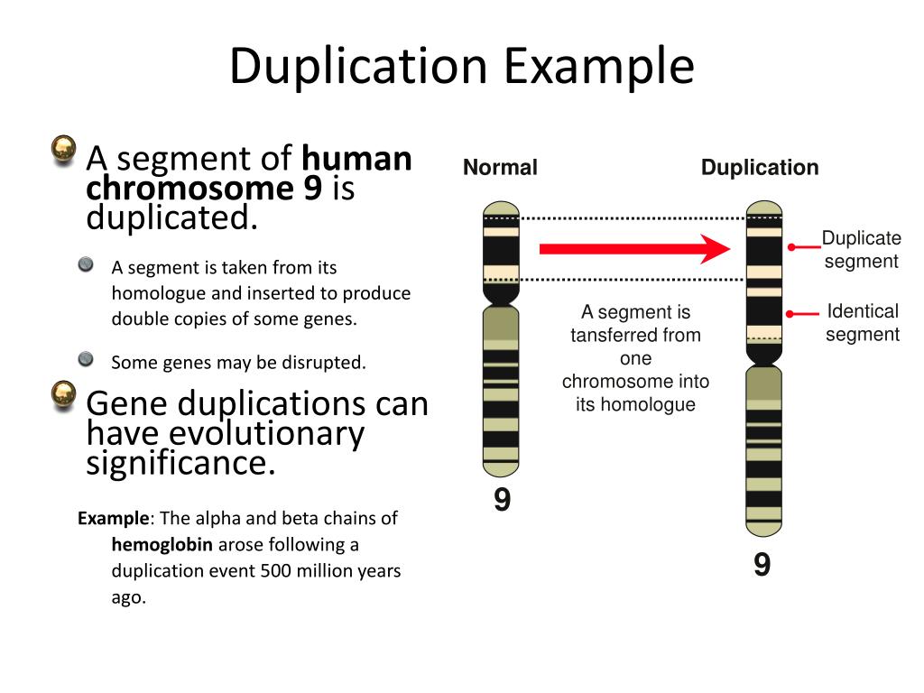 PPT MUTATIONS PowerPoint Presentation ID2201837