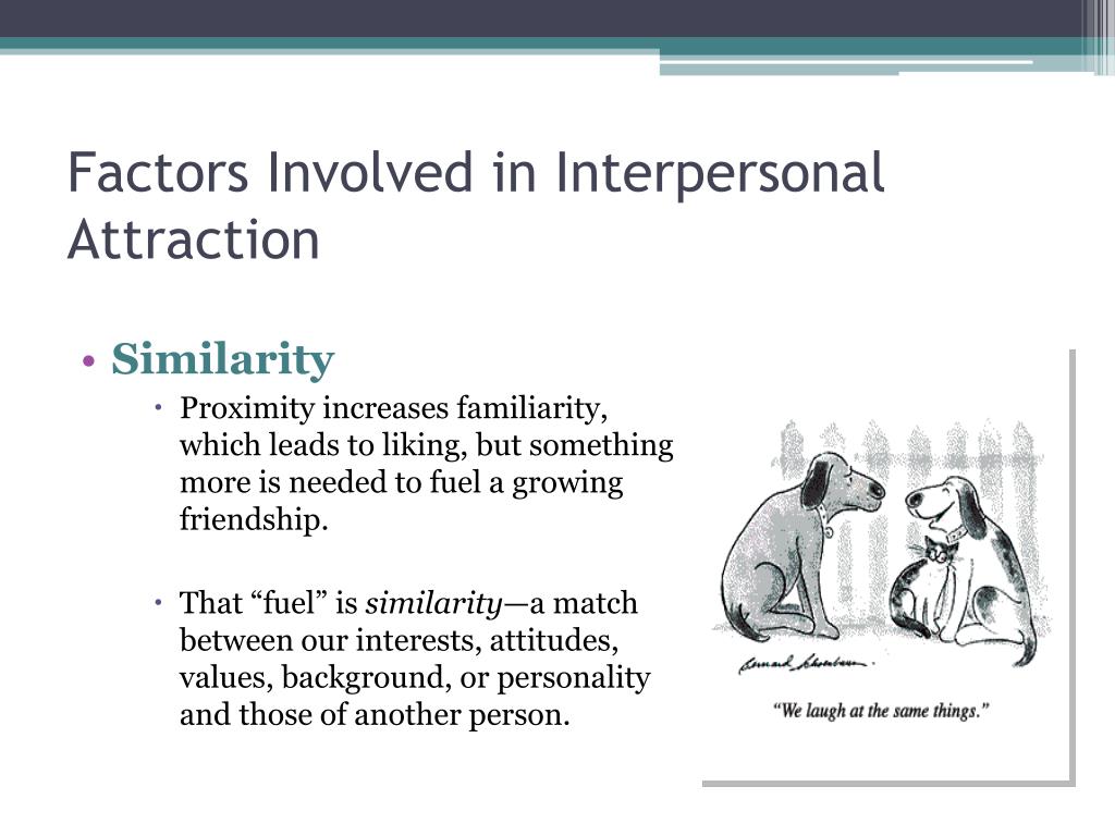 PPT Social Psychology Liking and Friendship PowerPoint Presentation