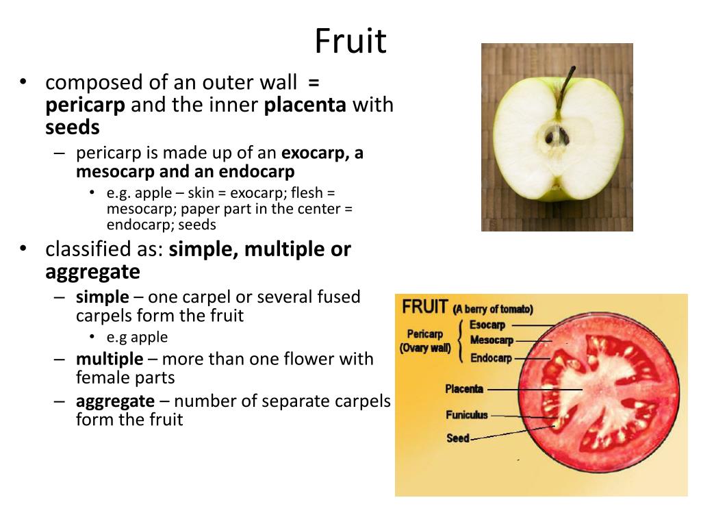 PPT Lab 6B PowerPoint Presentation, free download ID2202950
