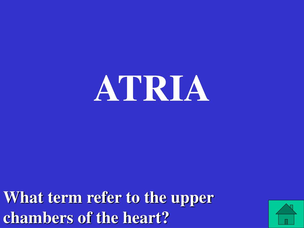 PPT Ch12 Medterms Jeopardy PowerPoint Presentation, free download ID2205710