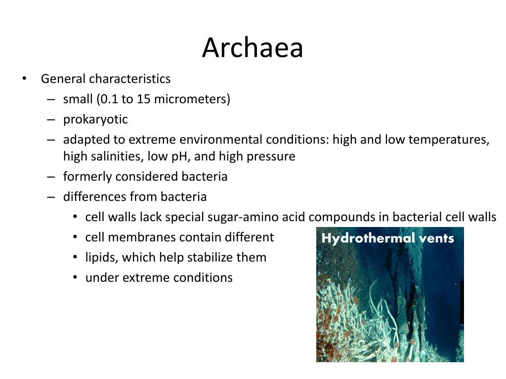 PPT The Microbial World PowerPoint Presentation, free download ID