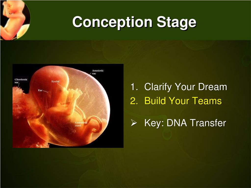 PPT Barnabas Team PowerPoint Presentation, free download ID2208605