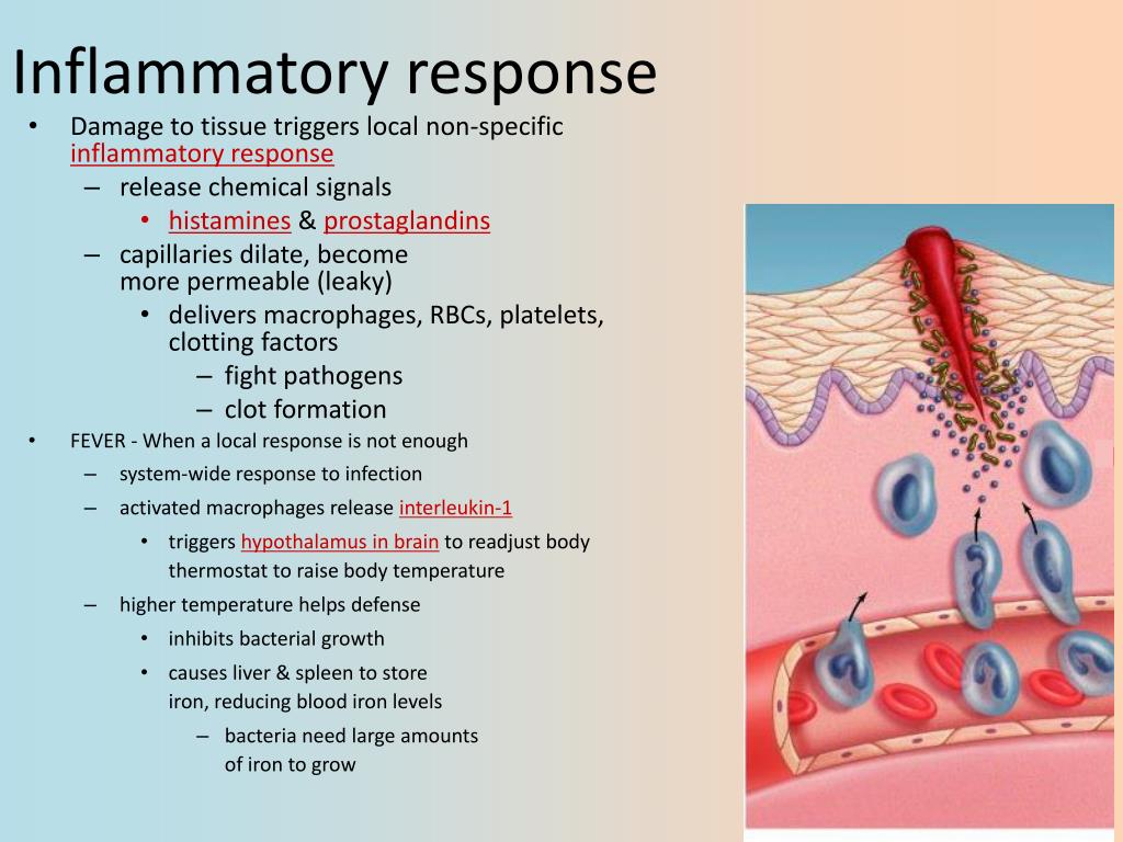 PPT Immune / Lymphatic System (Ch. 43) PowerPoint Presentation, free