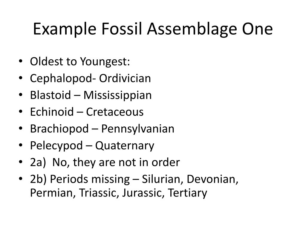 PPT Index fossils PowerPoint Presentation, free download ID2213210