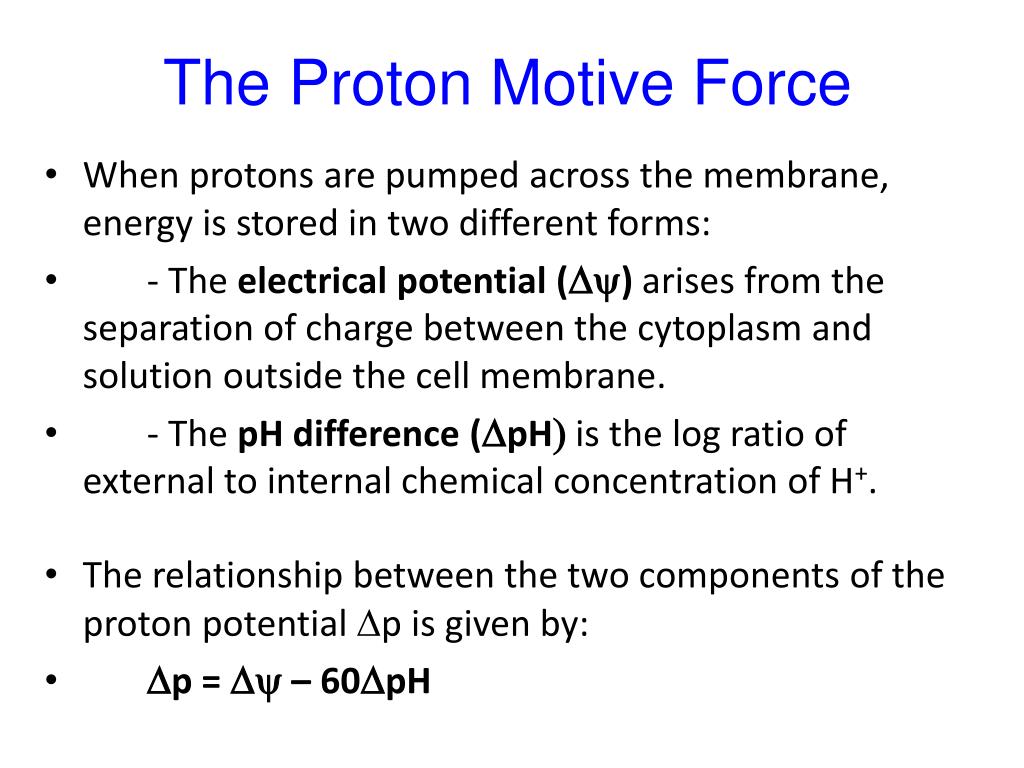 PPT The Proton Motive Force PowerPoint Presentation, free download