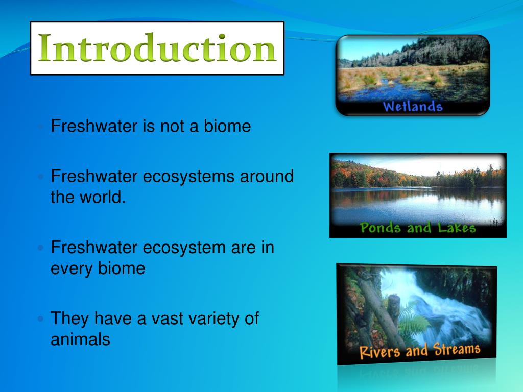PPT Freshwater PowerPoint Presentation, free download ID2218251