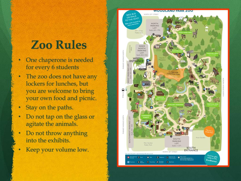 PPT The Woodland Park Zoo PowerPoint Presentation, free download ID