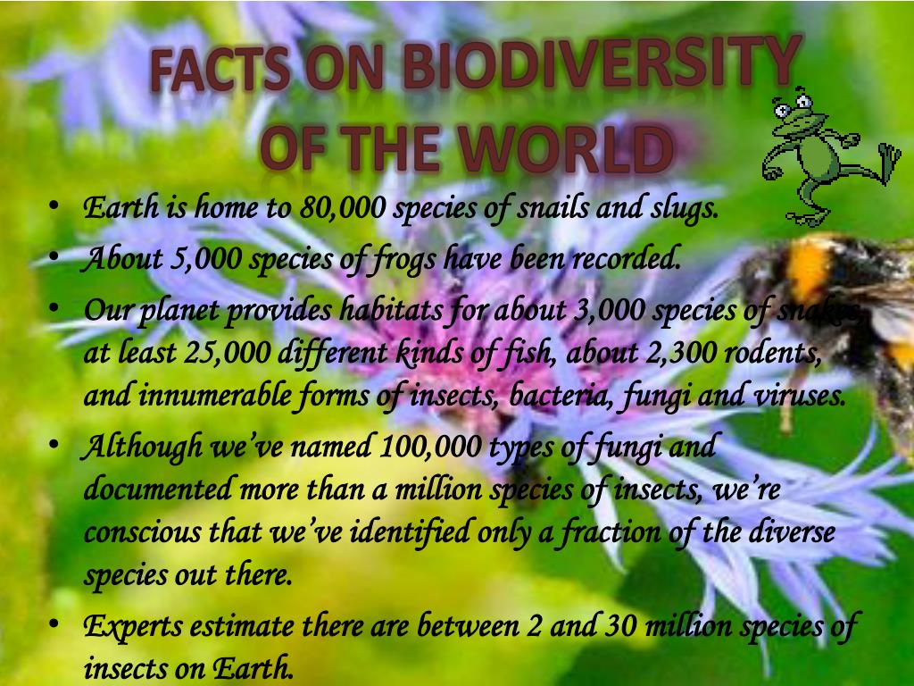 PPT CONSERVATION OF BIODIVERSITY PowerPoint Presentation, free