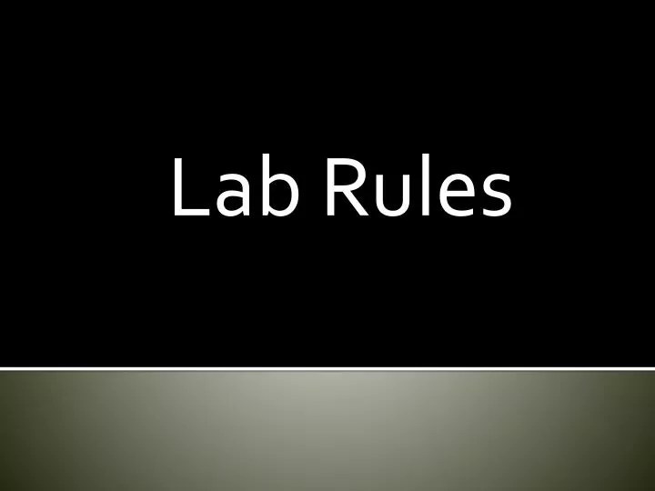 PPT Lab Rules PowerPoint Presentation, free download ID2222774
