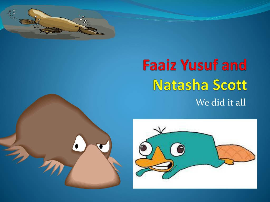 PPT Platypus PowerPoint Presentation, free download ID2224811