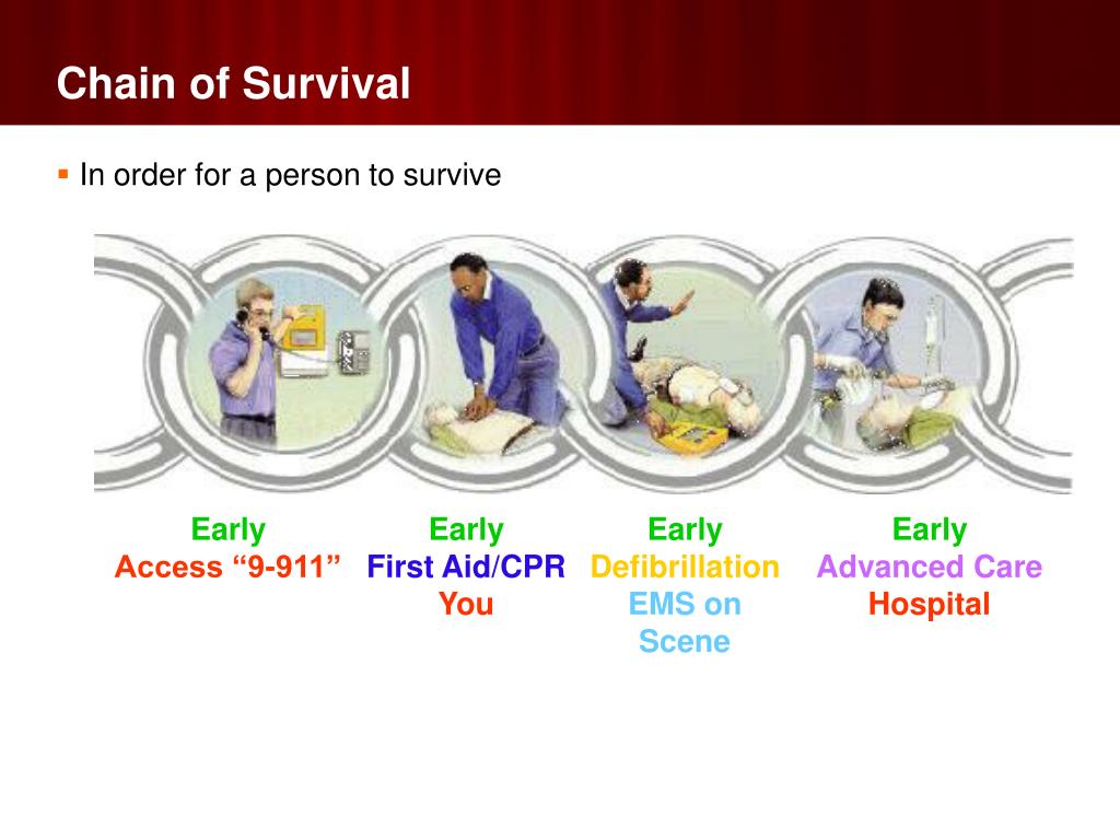 PPT Basic First Aid PowerPoint Presentation, free download ID2225257