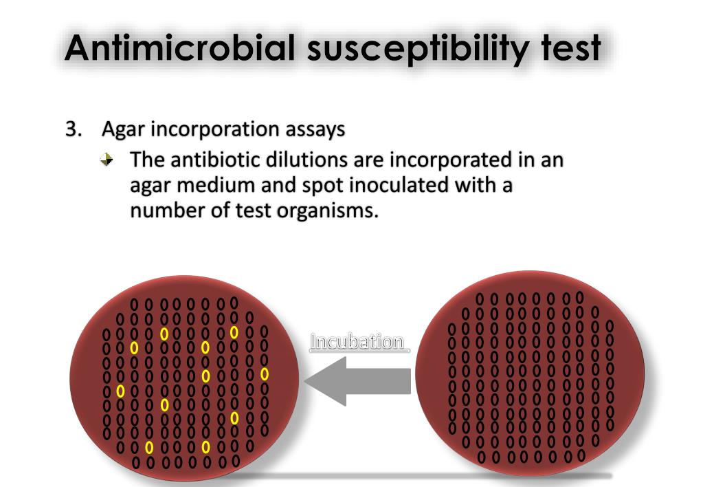 Antibacterial Susceptibility Tests Dilution And Disk Diffusion Methods