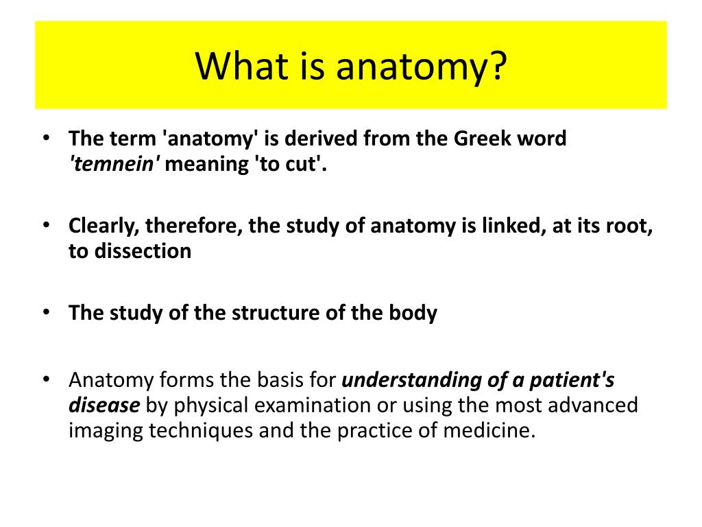 PPT What is anatomy? PowerPoint Presentation, free