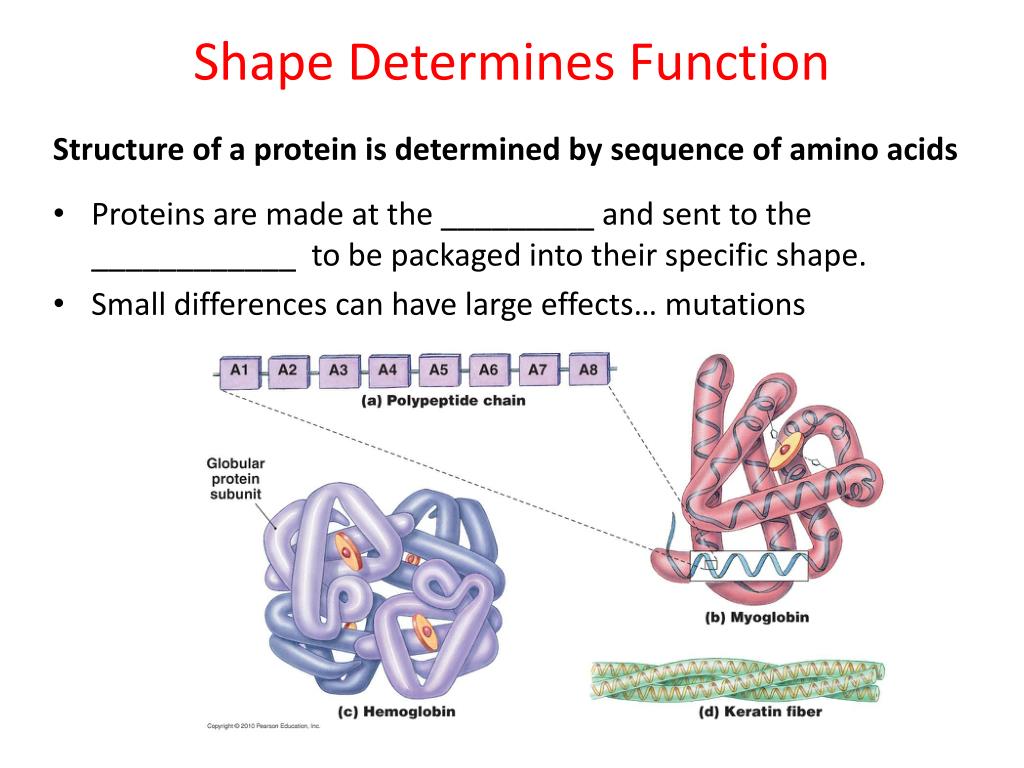 PPT Biochemistry to Cells PowerPoint Presentation, free download ID2227501