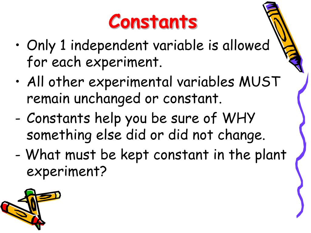 PPT Variables, Constants, and Controls PowerPoint Presentation, free