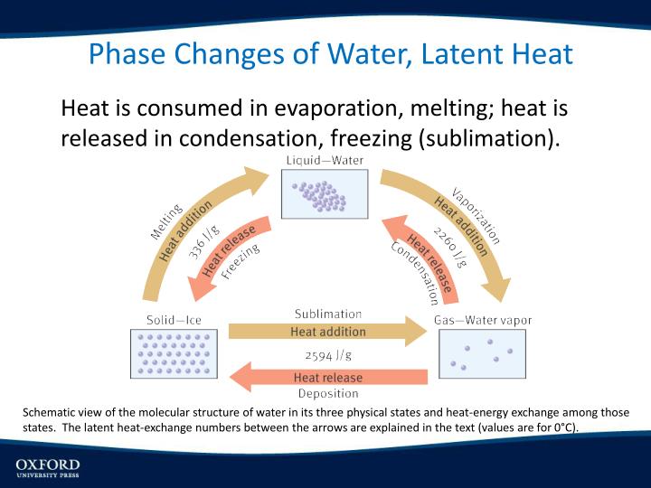 PPT Properties of Water Water Vapor & its M easurements The H