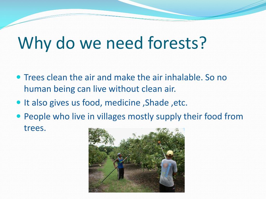 PPT Deforest action PowerPoint Presentation, free download ID2234360