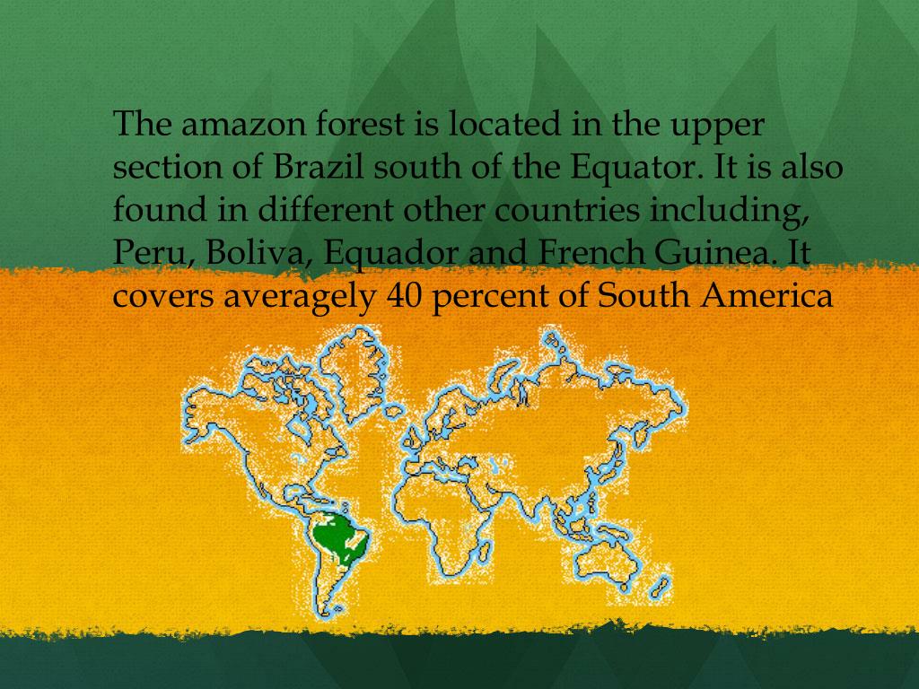 PPT The Amazon PowerPoint Presentation, free download ID2235178