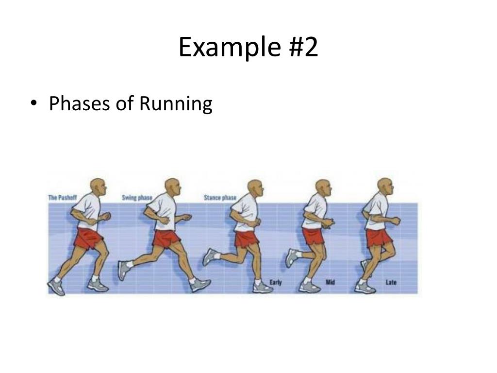 PPT Unit 2 Biomechanics PowerPoint Presentation, free download ID