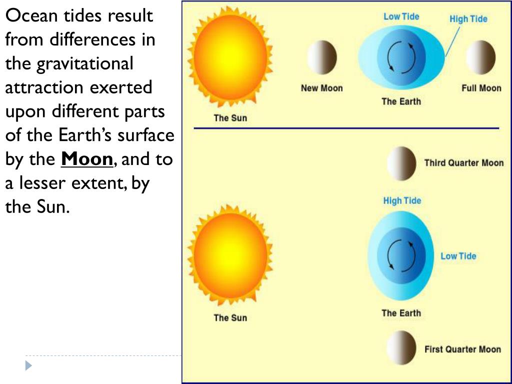 PPT Ocean Circulation, Waves and Tides PowerPoint Presentation, free download ID2238534