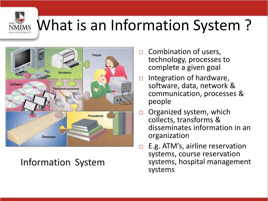 PPT Information Systems for Managers PowerPoint Presentation, free