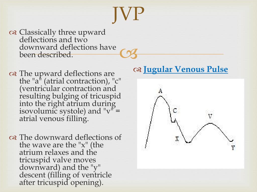 PPT Jugular venous pressure and carotid arterial pressure PowerPoint