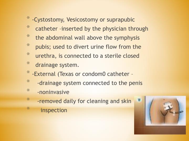 PPT Urinary catheters, I & O and 24 hour urine testing PowerPoint
