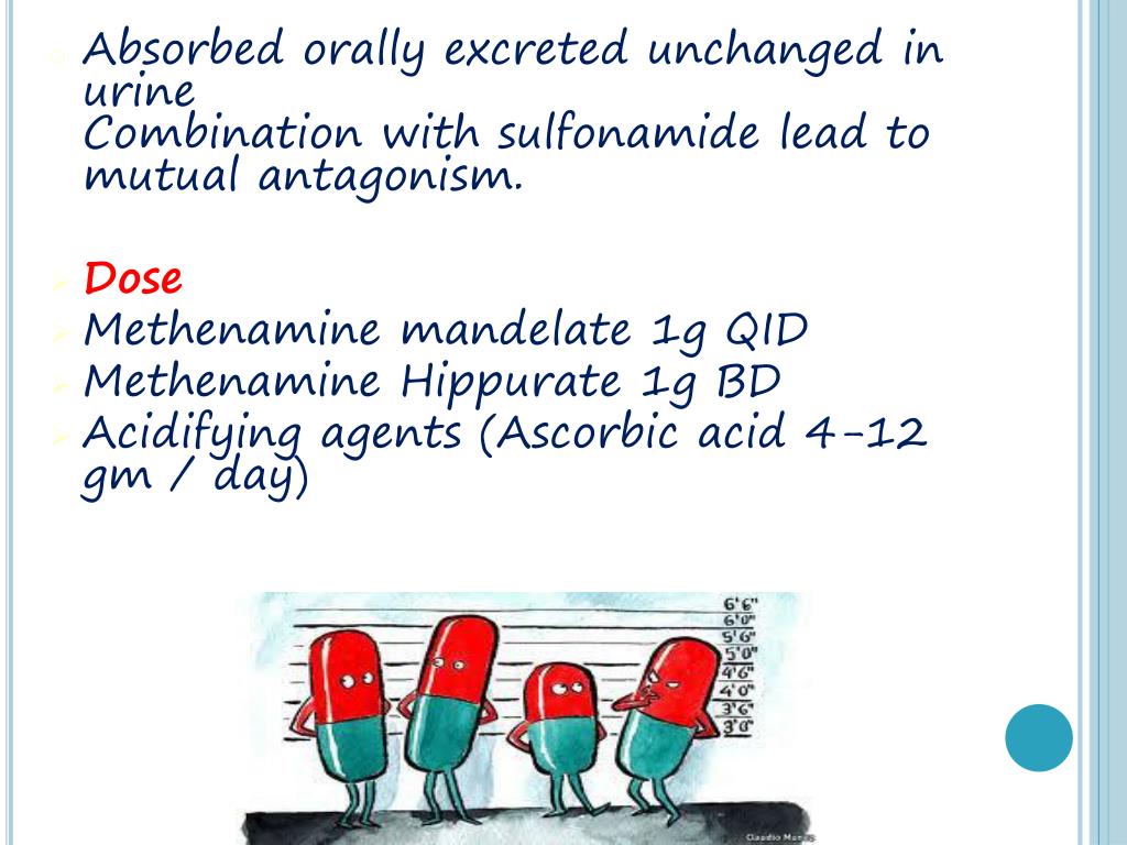 PPT URINARY ANTISEPTICS PowerPoint Presentation, free download ID