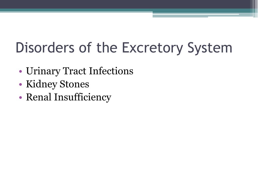 PPT Homeostatic Functions and Disorders of the Excretory System