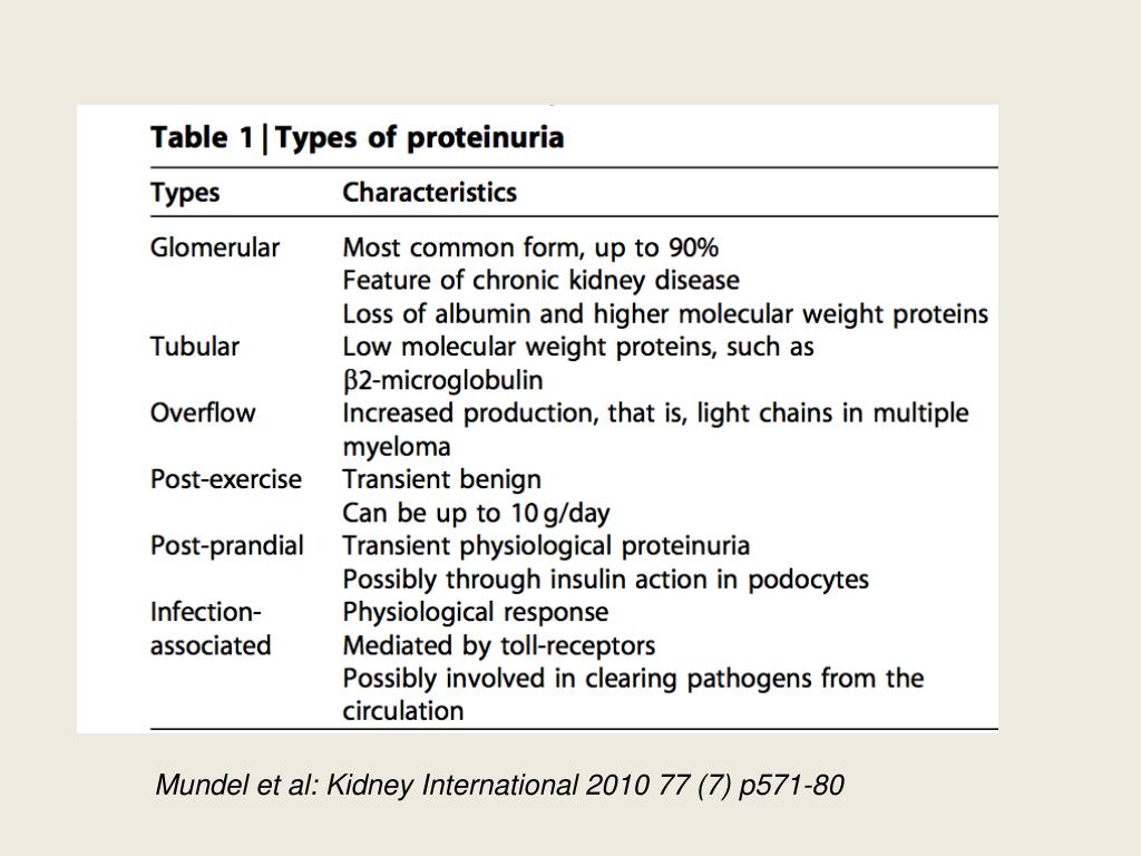 PPT Proteinuria PowerPoint Presentation, free download ID2241357