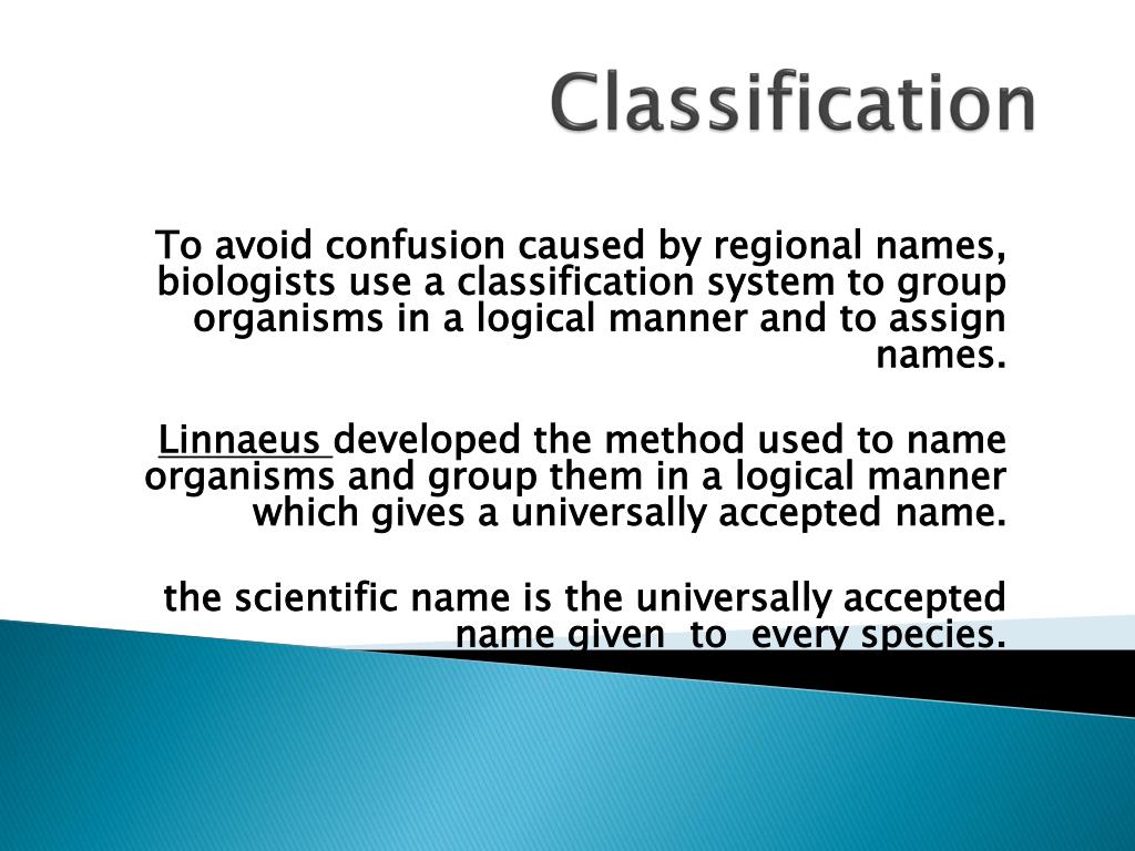 PPT Classification PowerPoint Presentation, free download ID2241801