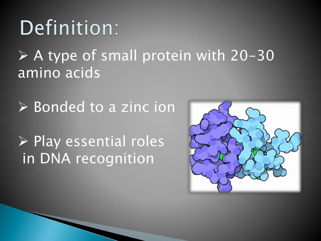 PPT Zinc Fingers PowerPoint Presentation, free download ID2242143