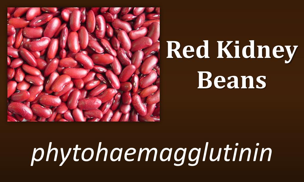 PPT Sermon on the Mount PowerPoint Presentation, free download ID