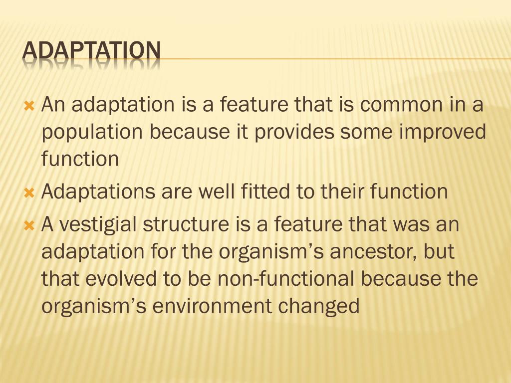 PPT Adaptation and Evolution PowerPoint Presentation, free download