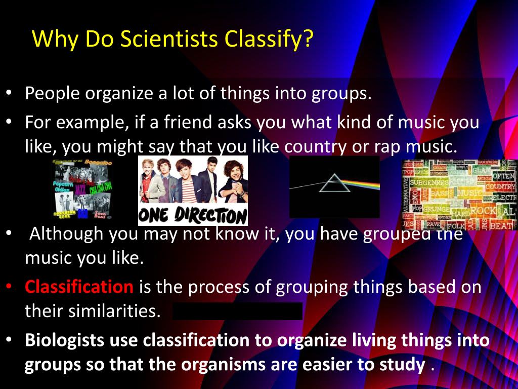 PPT Classifying Organisms PowerPoint Presentation, free download ID