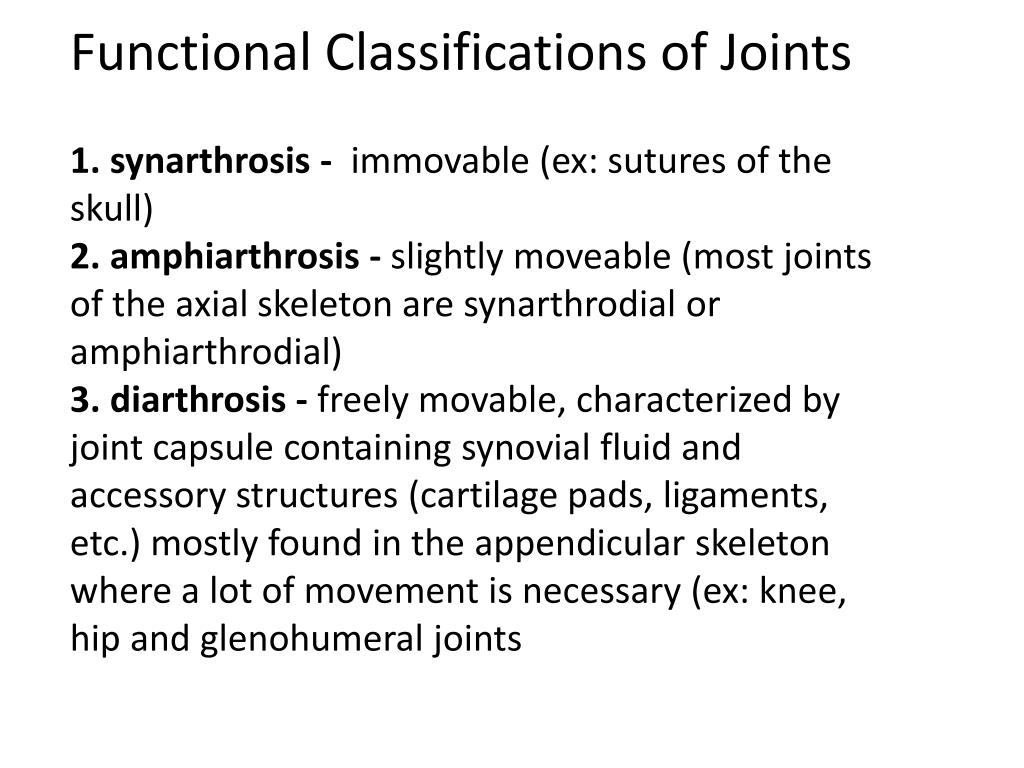PPT Lab 2 Appendicular Skeleton PowerPoint Presentation, free