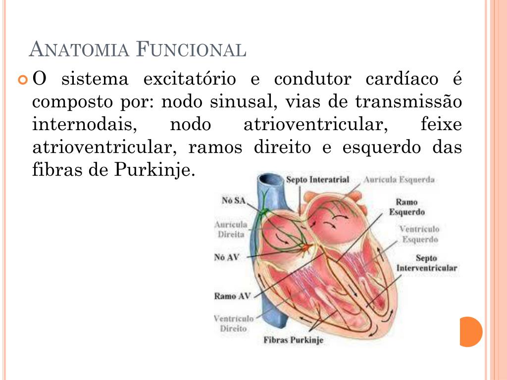 PPT Sistema Elétrico do C oração PowerPoint Presentation, free