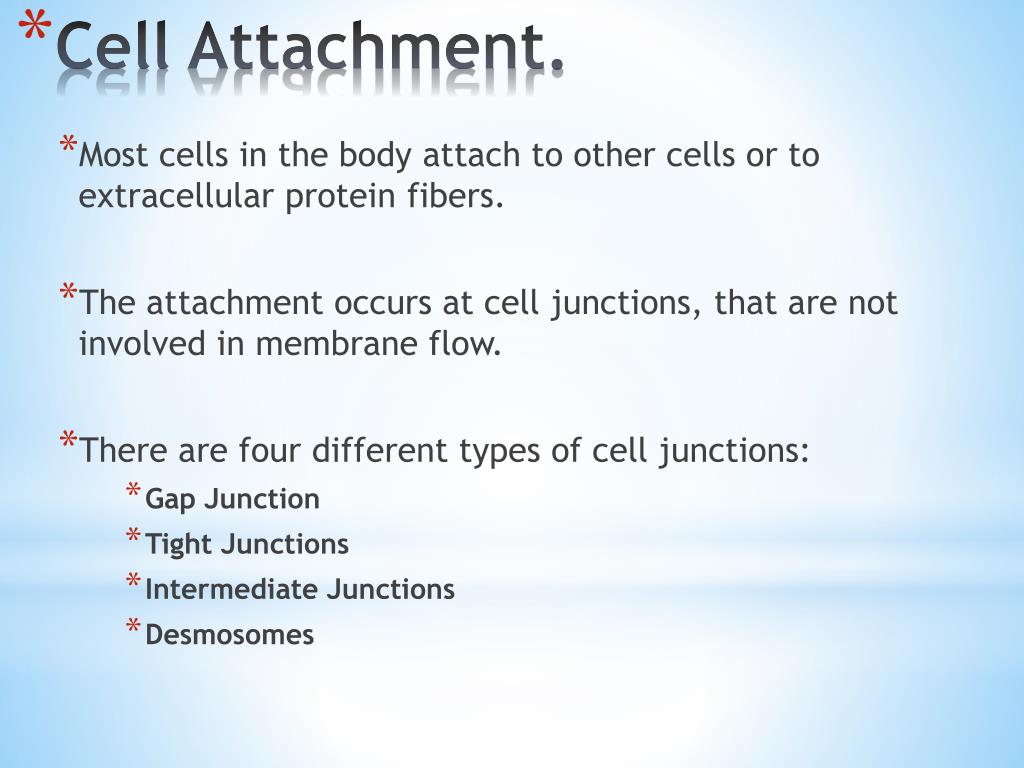 PPT Cell Structure PowerPoint Presentation, free download ID2248683