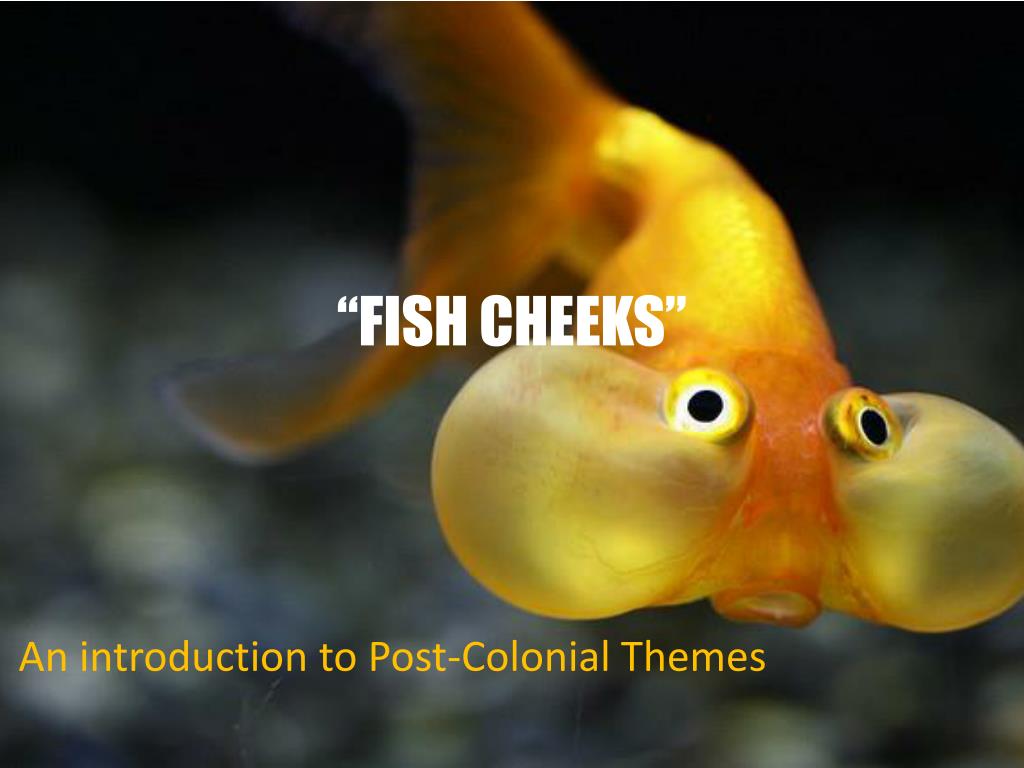 PPT “FISH CHEEKS” PowerPoint Presentation, free download ID2248782
