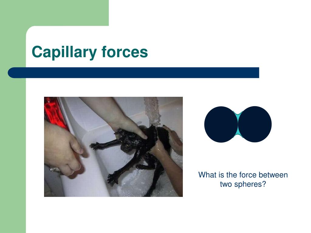 PPT Surface tension PowerPoint Presentation, free download ID2249959