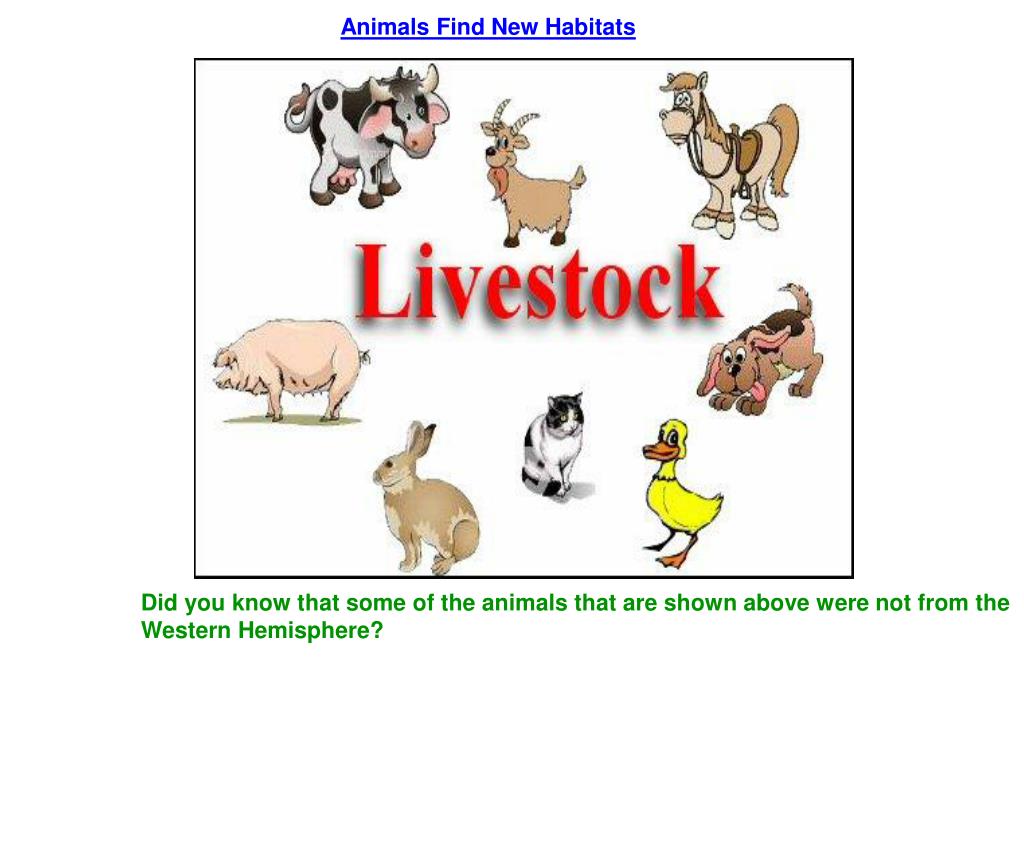 PPT Vocab Word Search (pages 547 551) PowerPoint Presentation