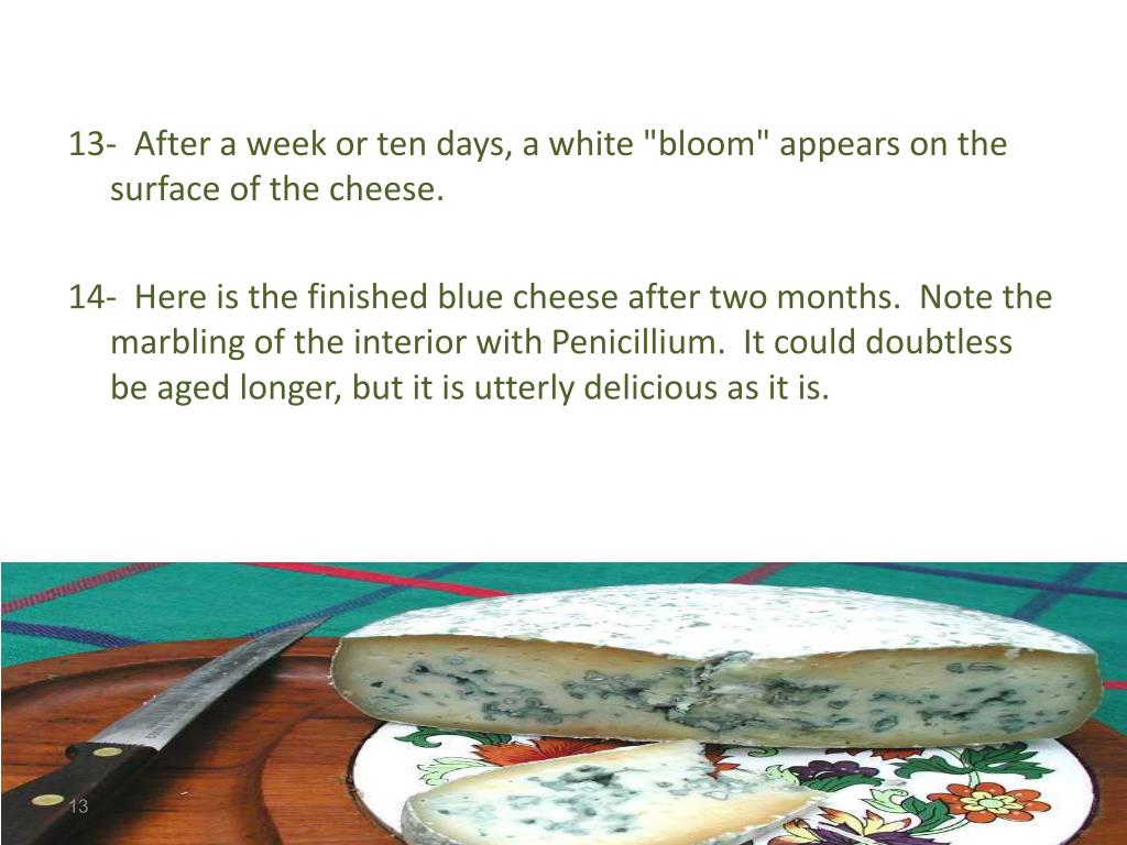 PPT Blue cheese Prepared by wurood ahmad K.H PowerPoint