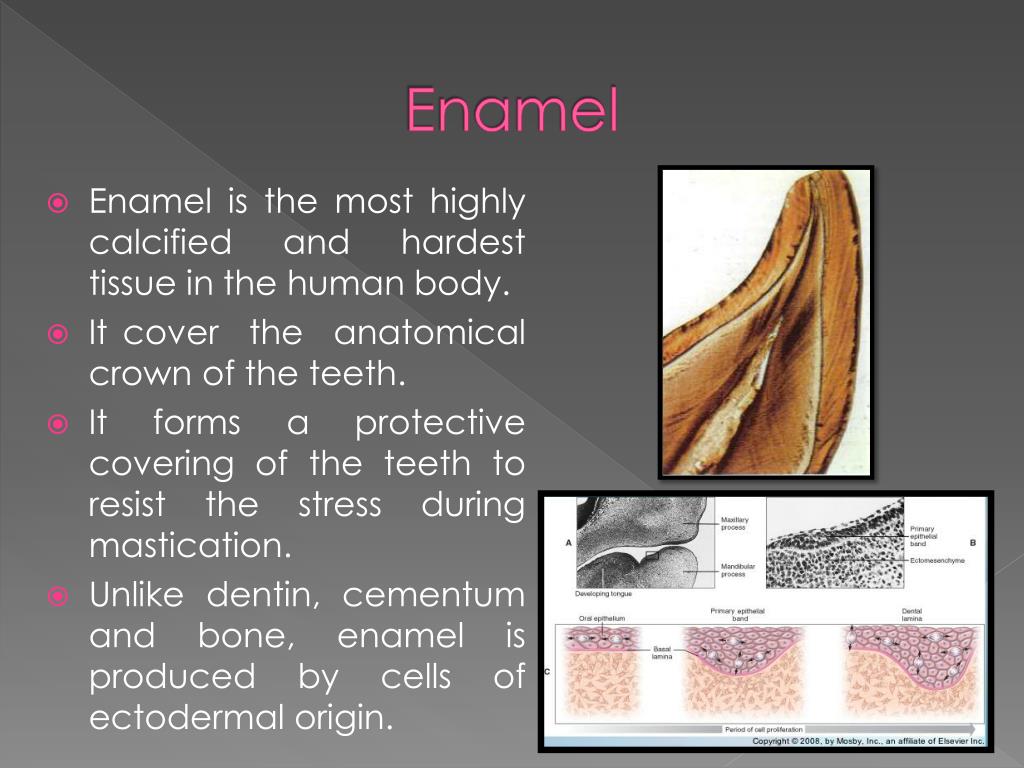 PPT Enamel PowerPoint Presentation, free download ID2255941