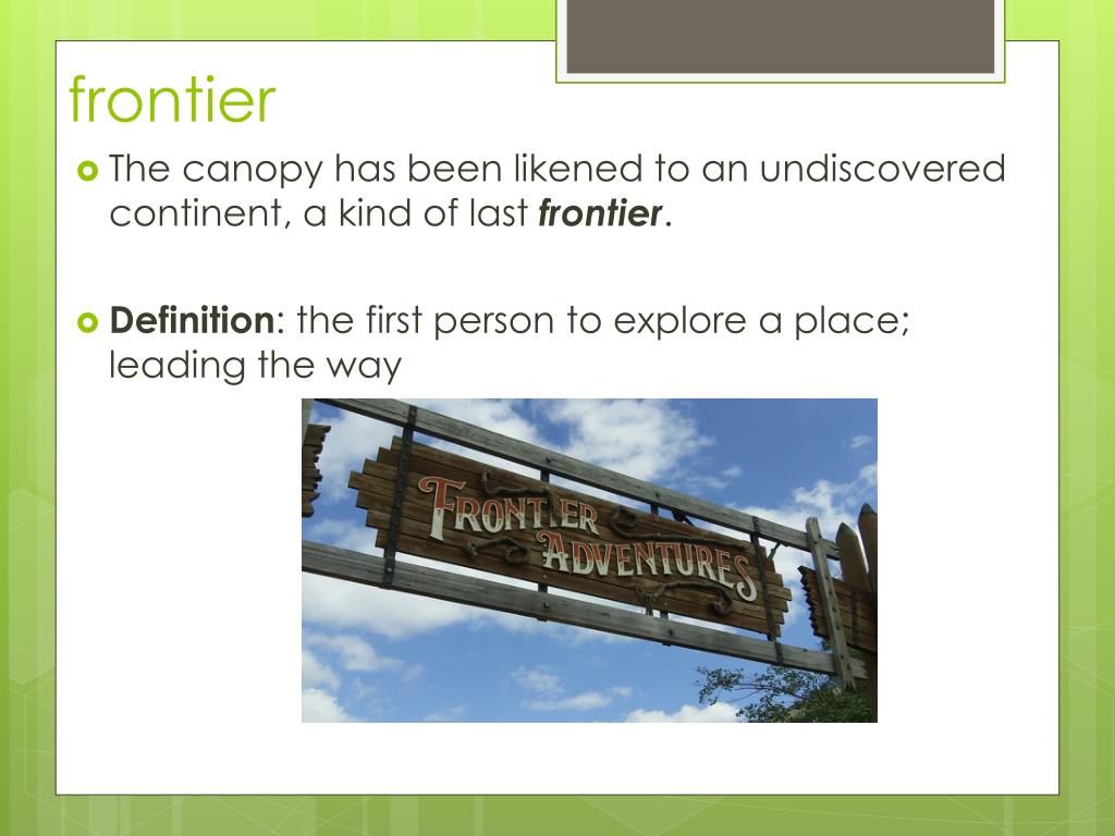 PPT Unit 13 Words Rainforest Module PowerPoint Presentation, free download ID2257309